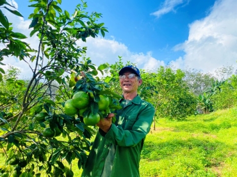 Học Bác, Người nông dân nghèo vươn lên làm kinh tế giỏi