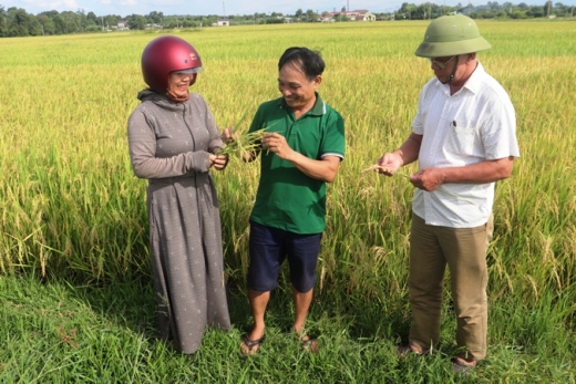 Phát triển kinh tế tập thể mang lại hiệu quả tại xã Gio Mỹ