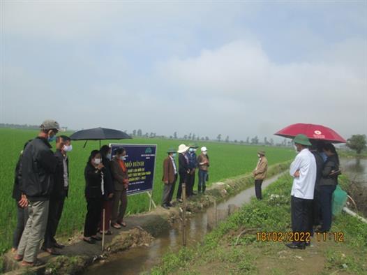 Nông dân tham quan mô hình sản xuất lúa hữu cơ tại xã Hải Quế, huyện Hải Lăng