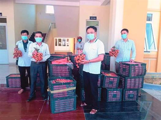Nông dân Quảng Trị hỗ trợ tiêu thụ vải thiều Bắc Giang