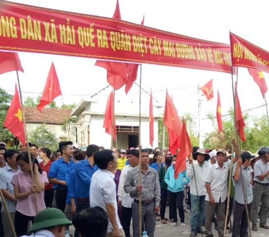 Hội Nông dân huyện Hải Lăng phát động nông dân diệt cây mai dương và sản xuất an toàn thực phẩm