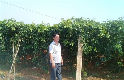 Hội Nông dân xã Phong Bình tổ chức hội viên nông dân tham quan mô hình kinh tế hiệu quả