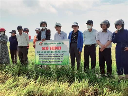 Hội thảo đầu bờ mô hình canh tác lúa thân thiện với môi trường tại xã Gio Quang