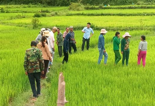 Nông dân thị trấn Krông Klang phối hợp tập huấn cho hội viên nông dân