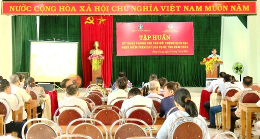 Hội Nông dân phường Đông Giang phối hợp tập huấn phòng bệnh trên cây lúa