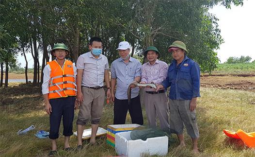 Kiểm tra, nghiệm thu mô hình thực hiện Đề tài “Nghiên cứu xây dựng mô hình ứng dụng tiến bộ khoa học và công nghệ trong nuôi cá chình lồng tại Quảng Trị”