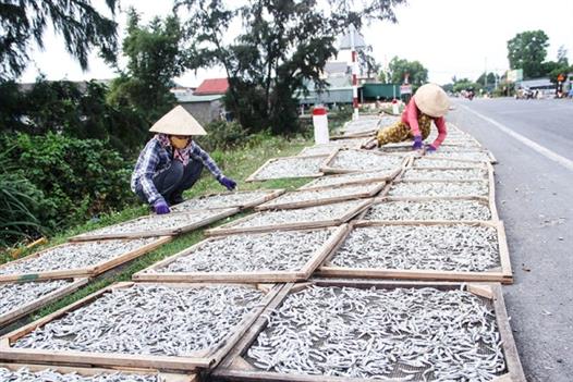 Nông dân Gio Việt năng động, sáng tạo trong thực hiện các phong trào thi đua