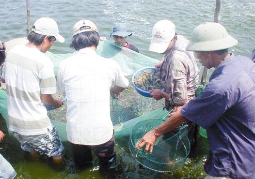 Xác định cây trồng, con nuôi chủ lực để thúc đẩy tái cơ cấu nông nghiệp