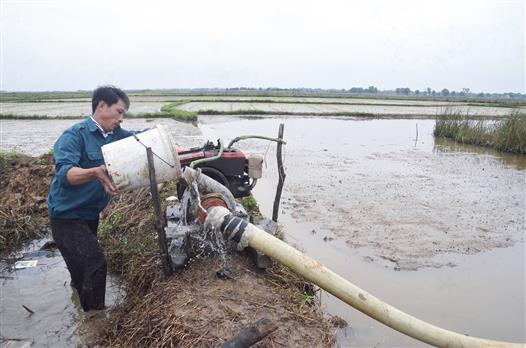 Chủ động phòng, chống hạn trong mùa khô