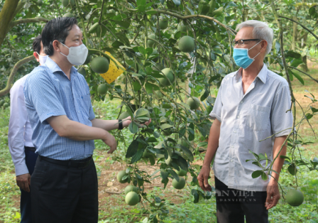 Ủy viên Trung ương Đảng, Chủ tịch BCH T.Ư Hội NDVN Lương Quốc Đoàn gửi thư tới cán bộ, hội viên, nông dân cả nước