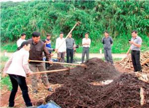 Xây dựng nhiều mô hình nông dân bảo vệ môi trường