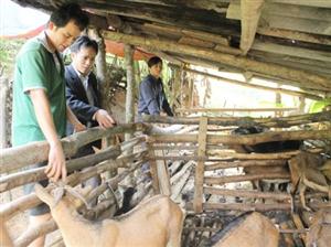 Tích cực thực hiện ba phong trào thi đua của Hội