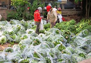 Cần có phương án phát triển một số cây trồng chủ lực trong ngành nông nghiệp