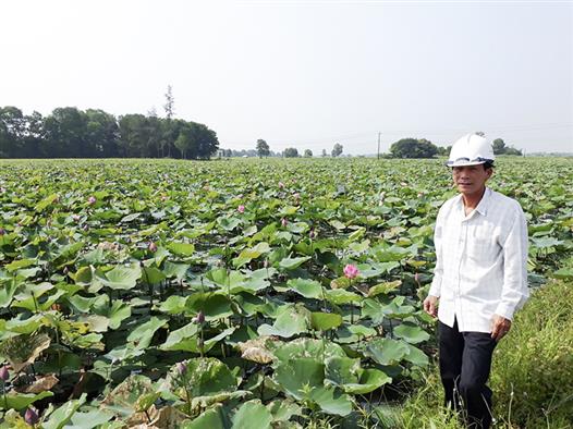 Ghi nhận ở một Chi Hội Nông dân vùng trũng