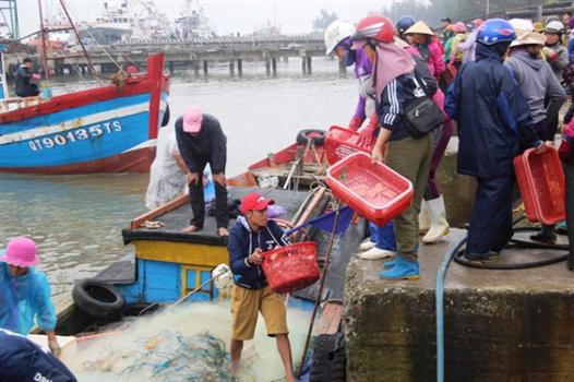 Nông dân Gio Linh thi đua phát triển kinh tế và xây dựng nông thôn mới