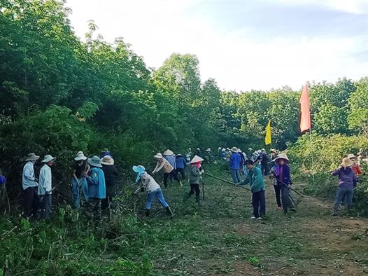 Hội Nông dân xã Phong Bình làm đường giao thông nông thôn