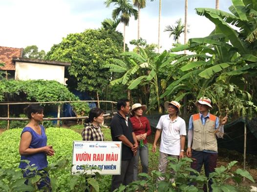 Mô hình vườn rau canh tác tự nhiên