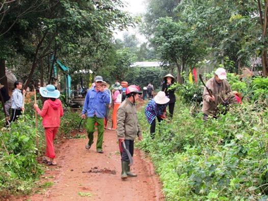 Hội Nông dân xã Gio Phong tổ chức làm đường nông thôn mới