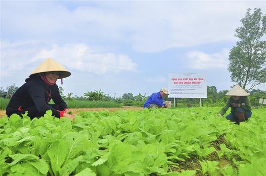 Tạo động lực cho nông dân làm giàu