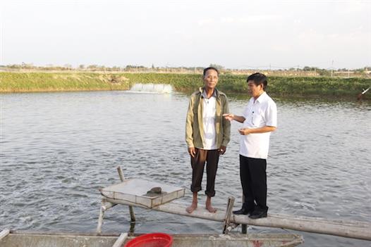 Nông dân Việt Nam xuất sắc: Nuôi tôm làm giàu trên vùng đất lửa