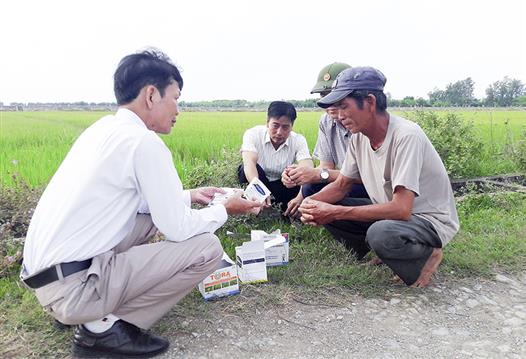 Chú trọng phòng trừ sâu bệnh hại lúa giai đoạn cuối vụ