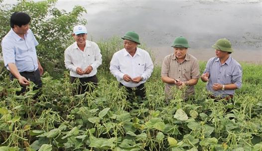 Các giải pháp ứng phó và thích ứng với Biến đổi khí hậu (BĐKH) ngành nông nghiệp Quảng Trị giai đoạn 2016 - 2020